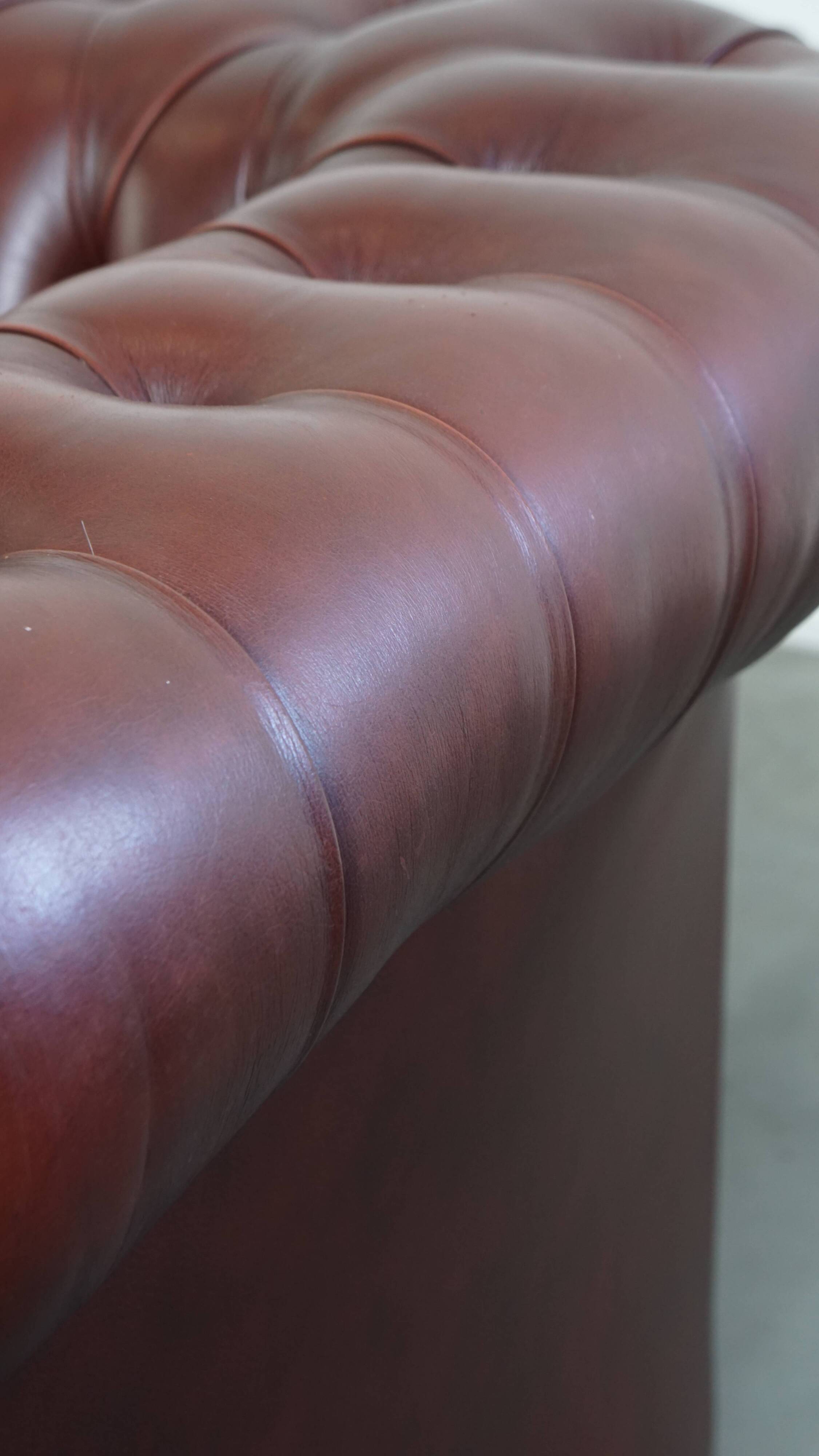 English Cowhide Leather Chesterfield Armchair
