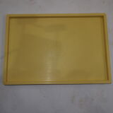 Vegetable dessert NIC'/vintage