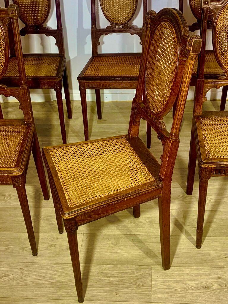 Canned chairs X 8, Louis XVI style, early XX, stamped Flandrin Paris