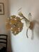 Ecru metal flower wall sconce