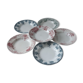 Ensemble de 6 assiettes creuses Terre de Fer XIXème Saint Amand "Campanule" "Anémone"