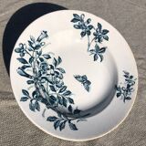 6 assiettes creuses Badonviller modèle Jasmin