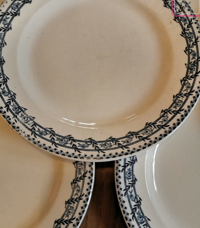Service of 8 vintage flat plates in Earth of Iron earthenware, Salins factory, Primerose model