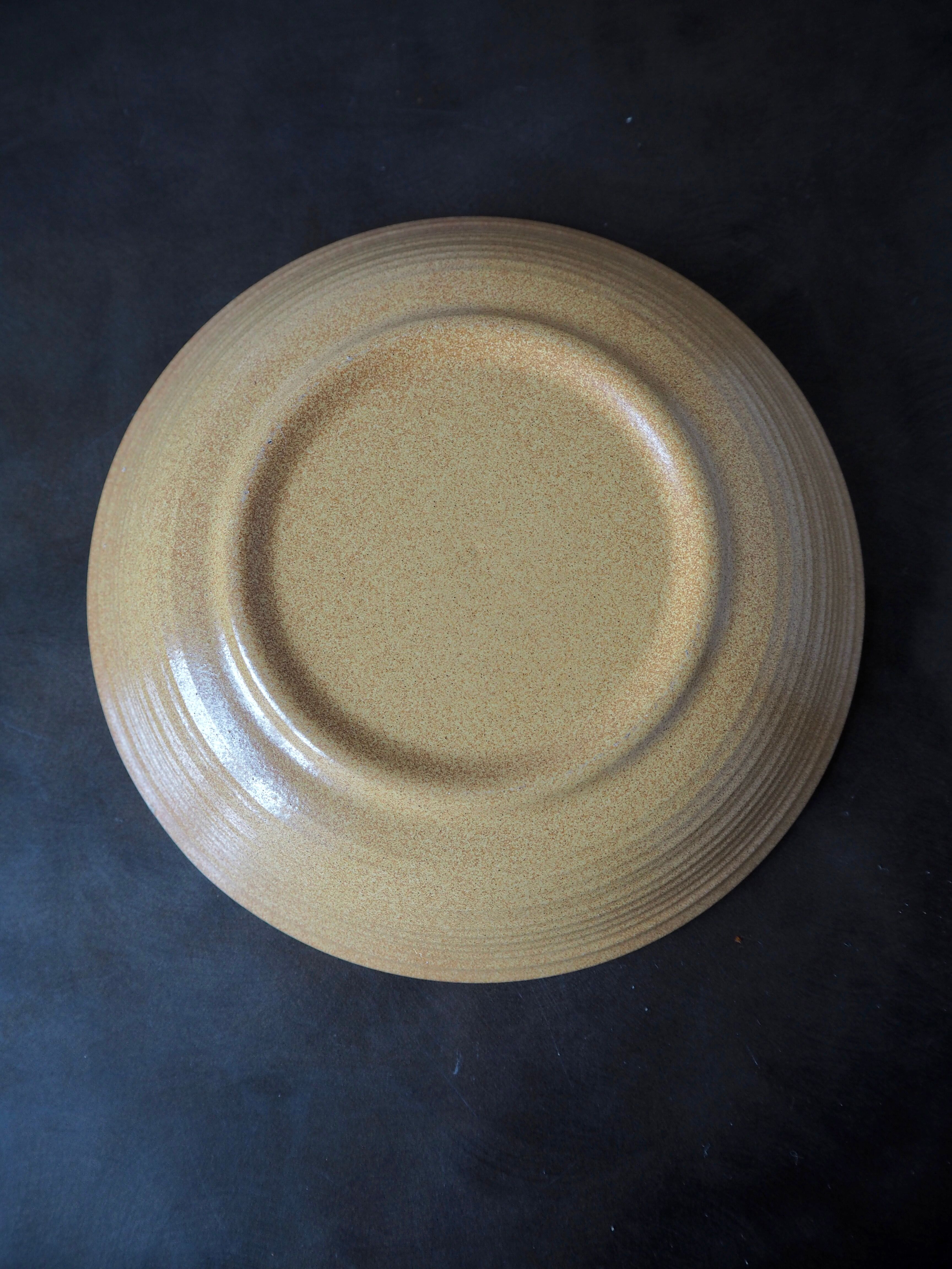 Set of 5 hollow ceramic plates sandstone effect