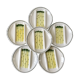 Set of 6 asparagus plates in salins slurry model Auxonne old