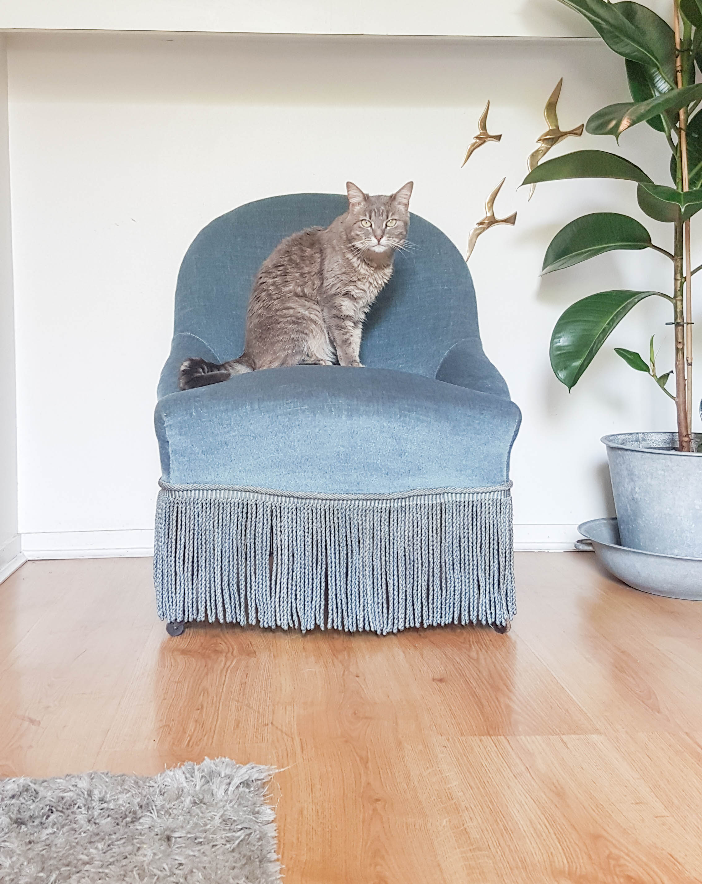 Fauteuil crapaud vintage velours bleu années 70