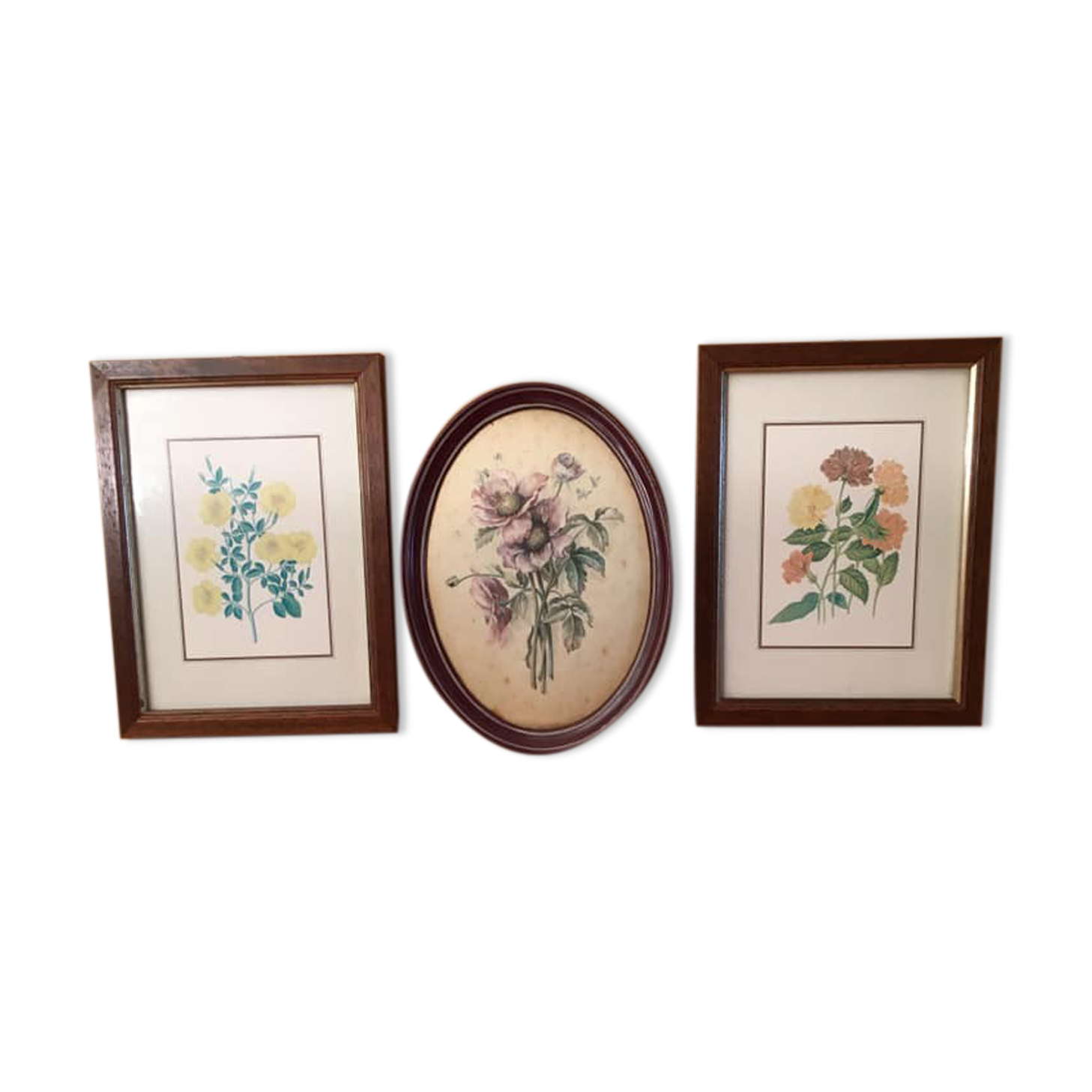 3 small paintings, with flowers in the spotlight