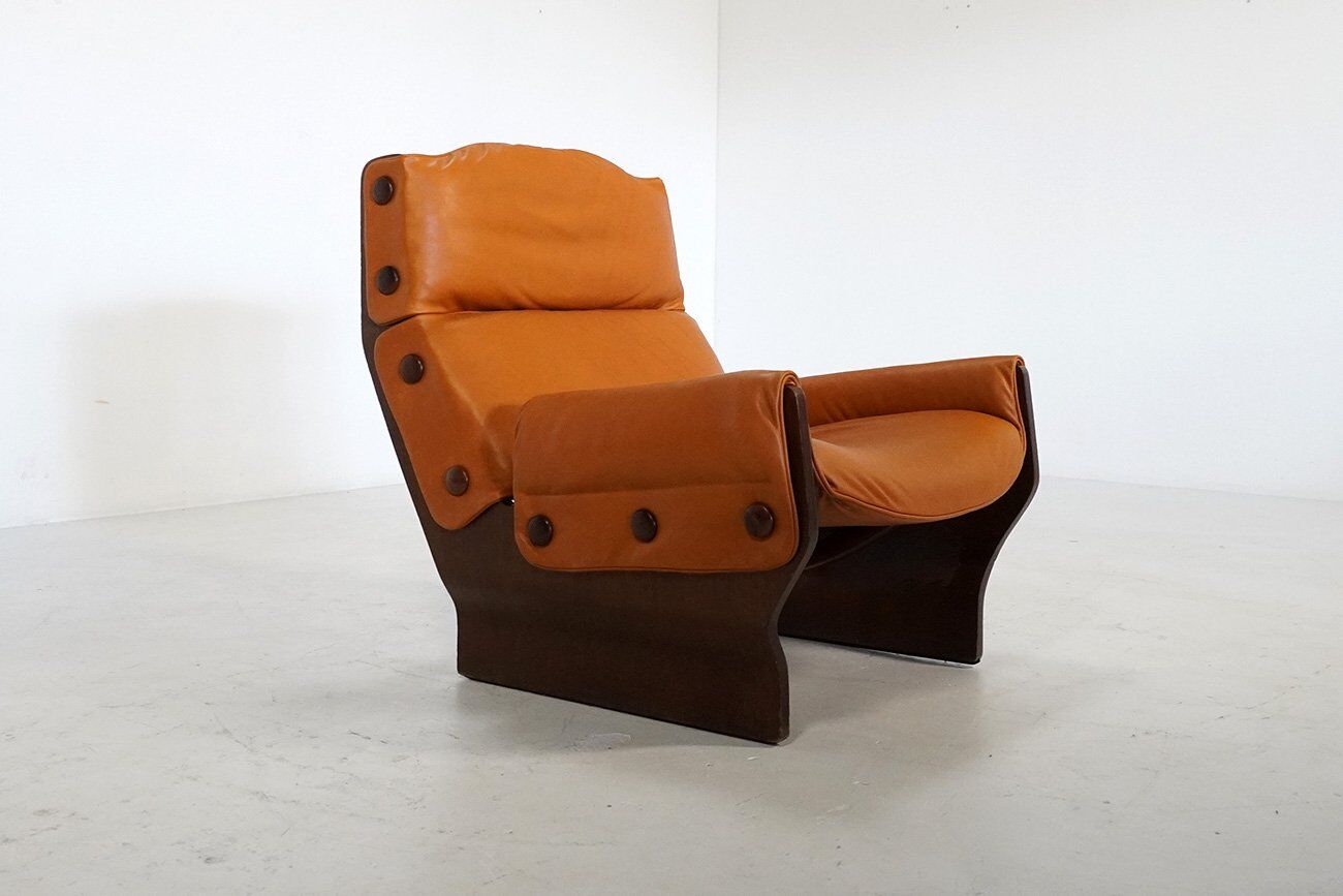 P110 Canada Lounge Chair by Osvaldo Borsani for Tecno, Italy, 1970s