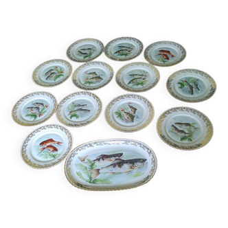 fish service 12 plates and oval porcelain dish 1970