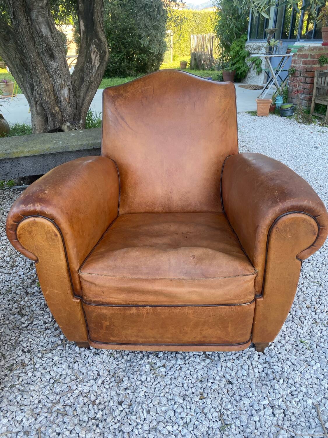 Pair of club armchairs