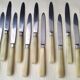 12 cheese or fruit knives "Aux 2 lions" with bovine horn handles