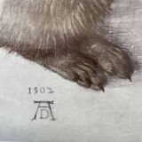 Dürer's hare illustration