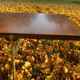 Coffee table by Sven Ellekær (very rare)
