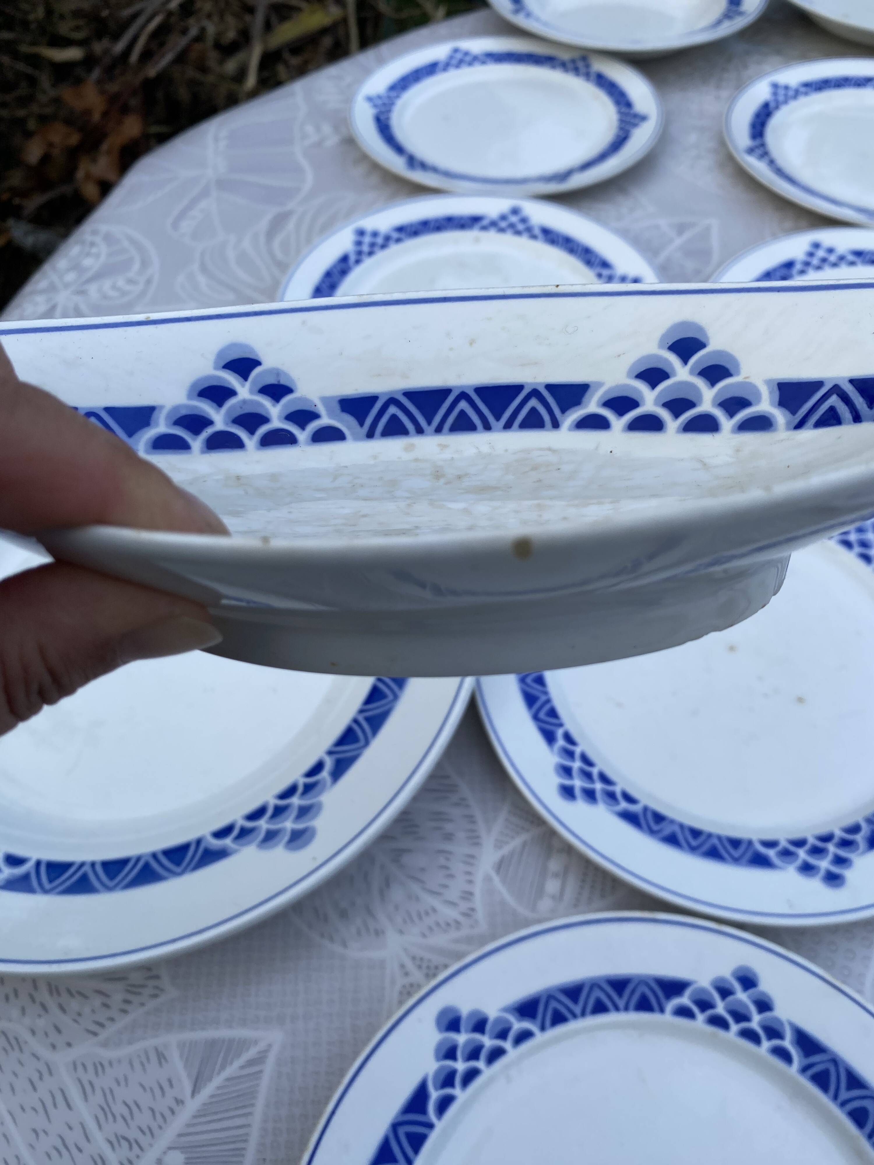 Magnifique Service de Table Vintage – Modèle "Ariège" (Digoin Sarregue