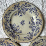 U&G Sarguemines Épine plates