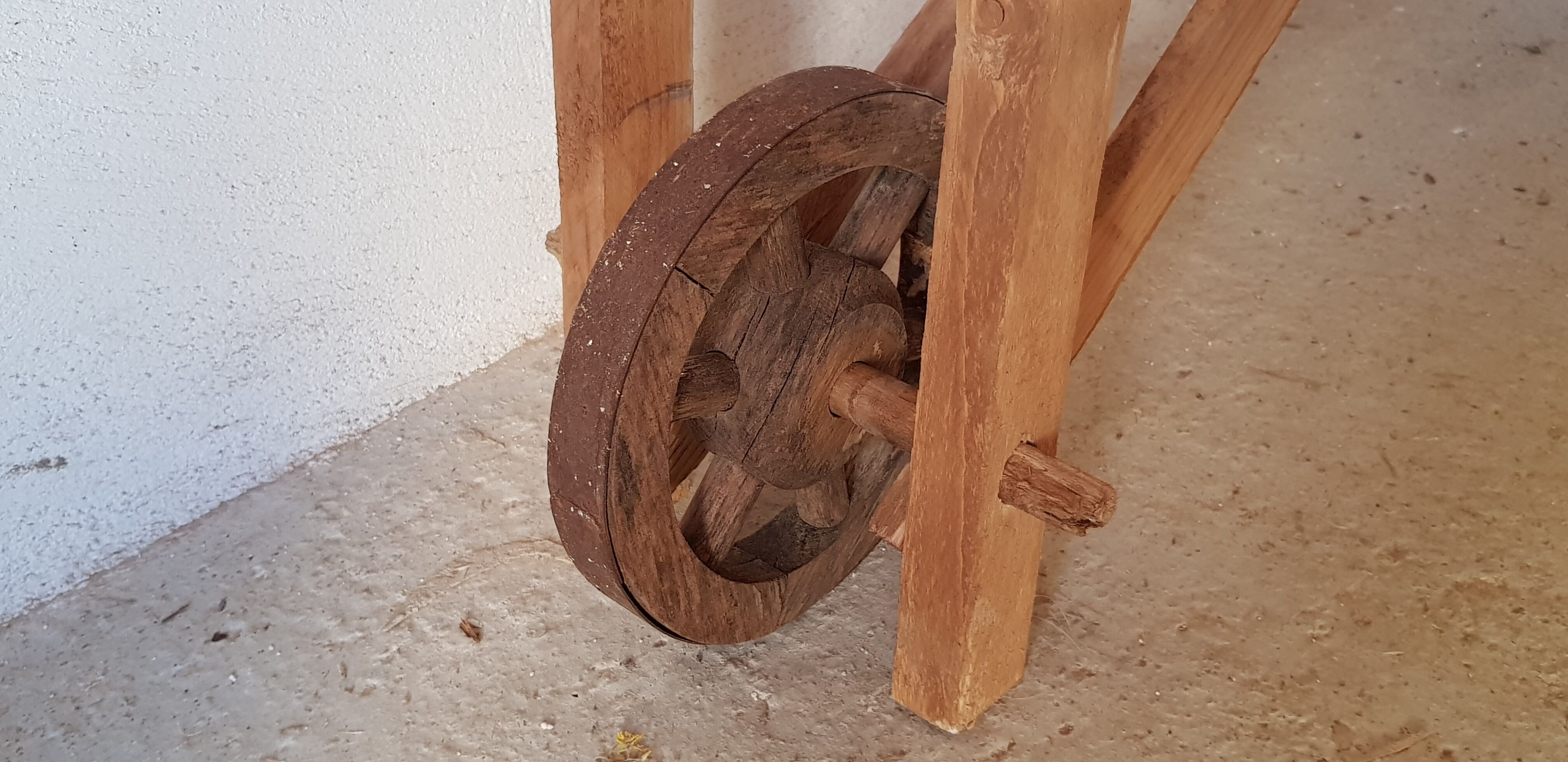 Primitive established