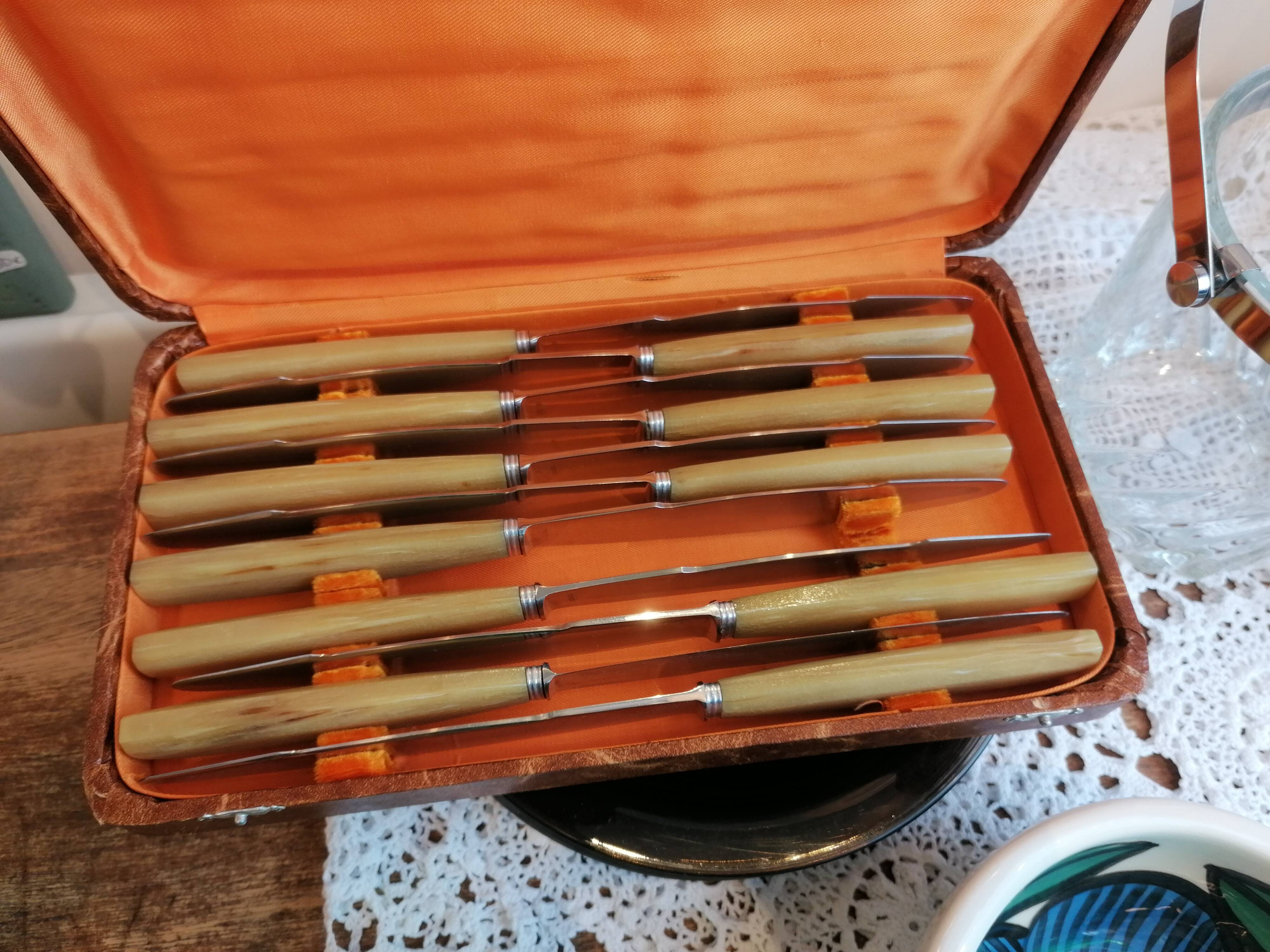 Box of 11 stainless steel knives with bakelite handles