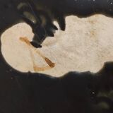 Cache-pot en barbotine, Gustave de Bruyn, Fives Lille