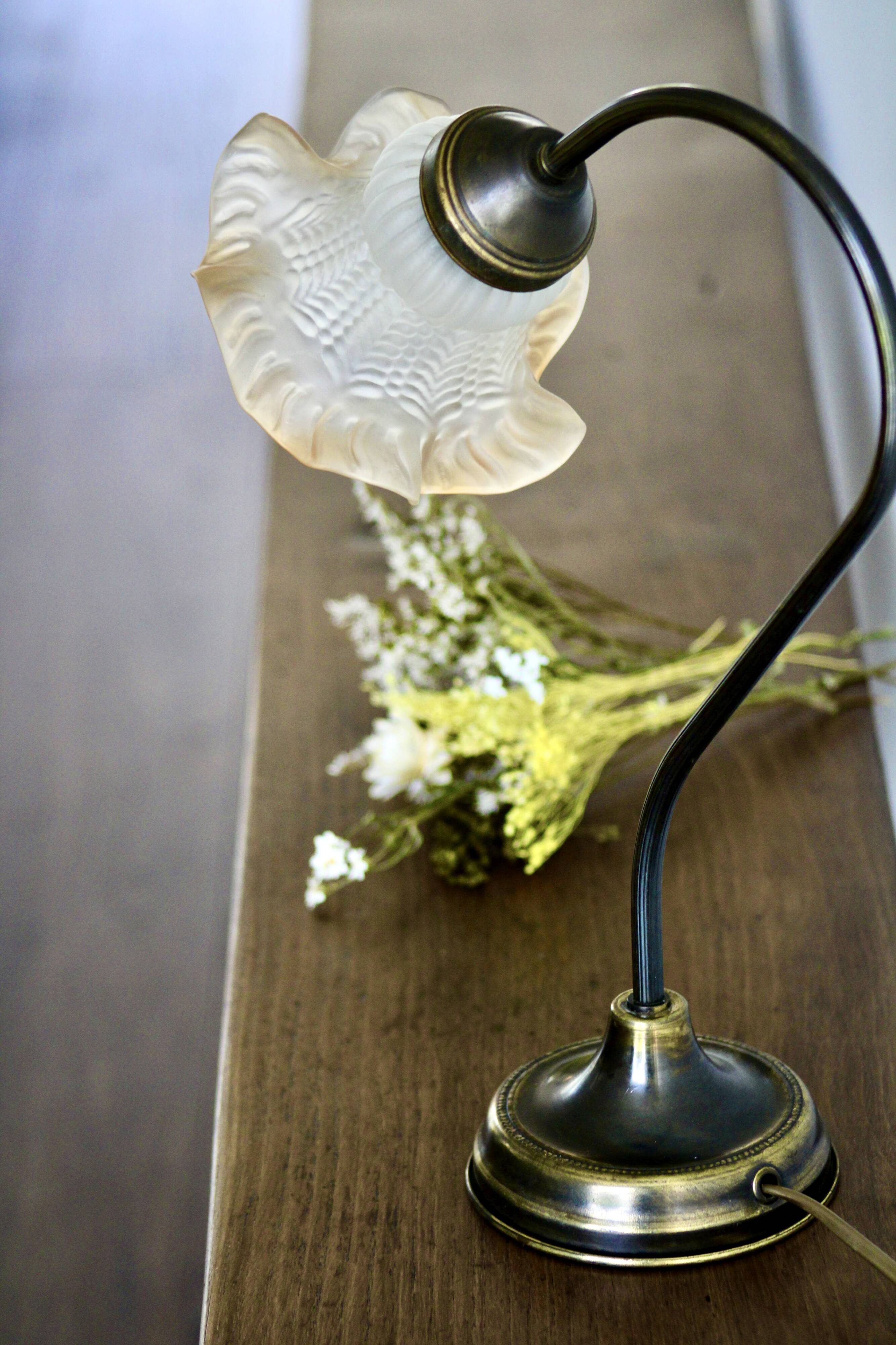 Delmas gooseneck lamp in brass with tulip globe