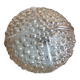 Ceiling light