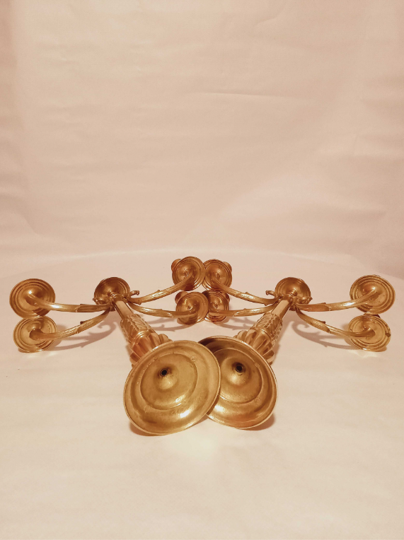 Pair of chandeliers with 5 bronze fires