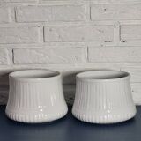 White plant pot
