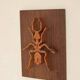 Plaque décorative en bois avec motif d'insecte