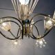 Austrian flower chandelier by Emil Stejnar for Rupert Nikoll, Vienna, Austria, 1950s.