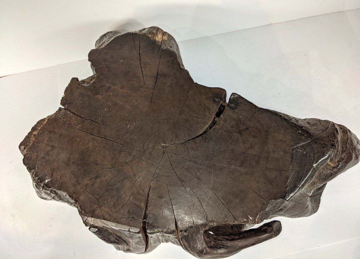 Bonsai base - root - Japan 1930-50 - vintage wabi-sabi - Kare San Sui