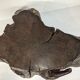 Bonsai base - root - Japan 1930-50 - vintage wabi-sabi - Kare San Sui