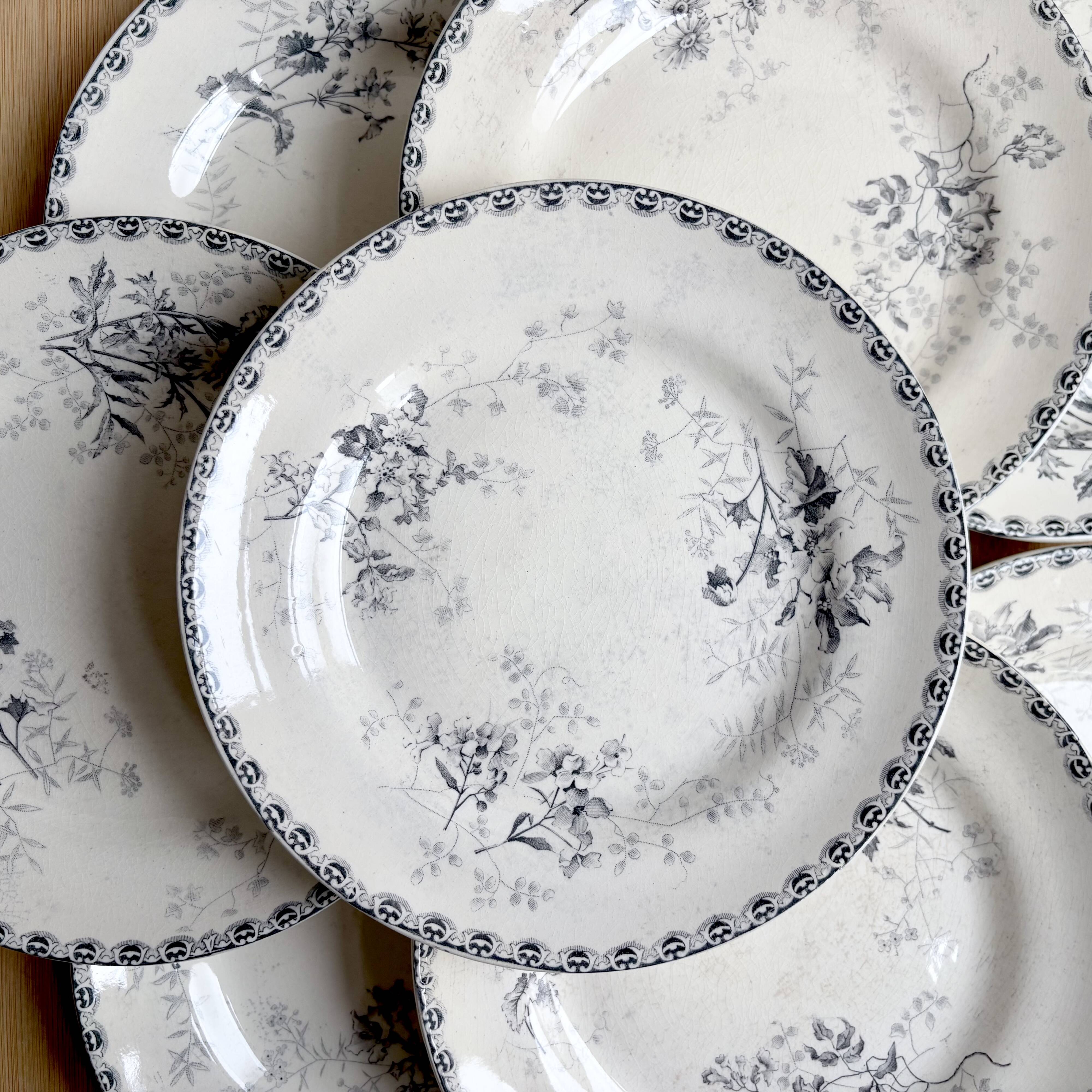 8 flat plates - Ironstone - Choisy-le-Roi