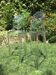 Paire de tabourets de bar by kartell Philippe starck