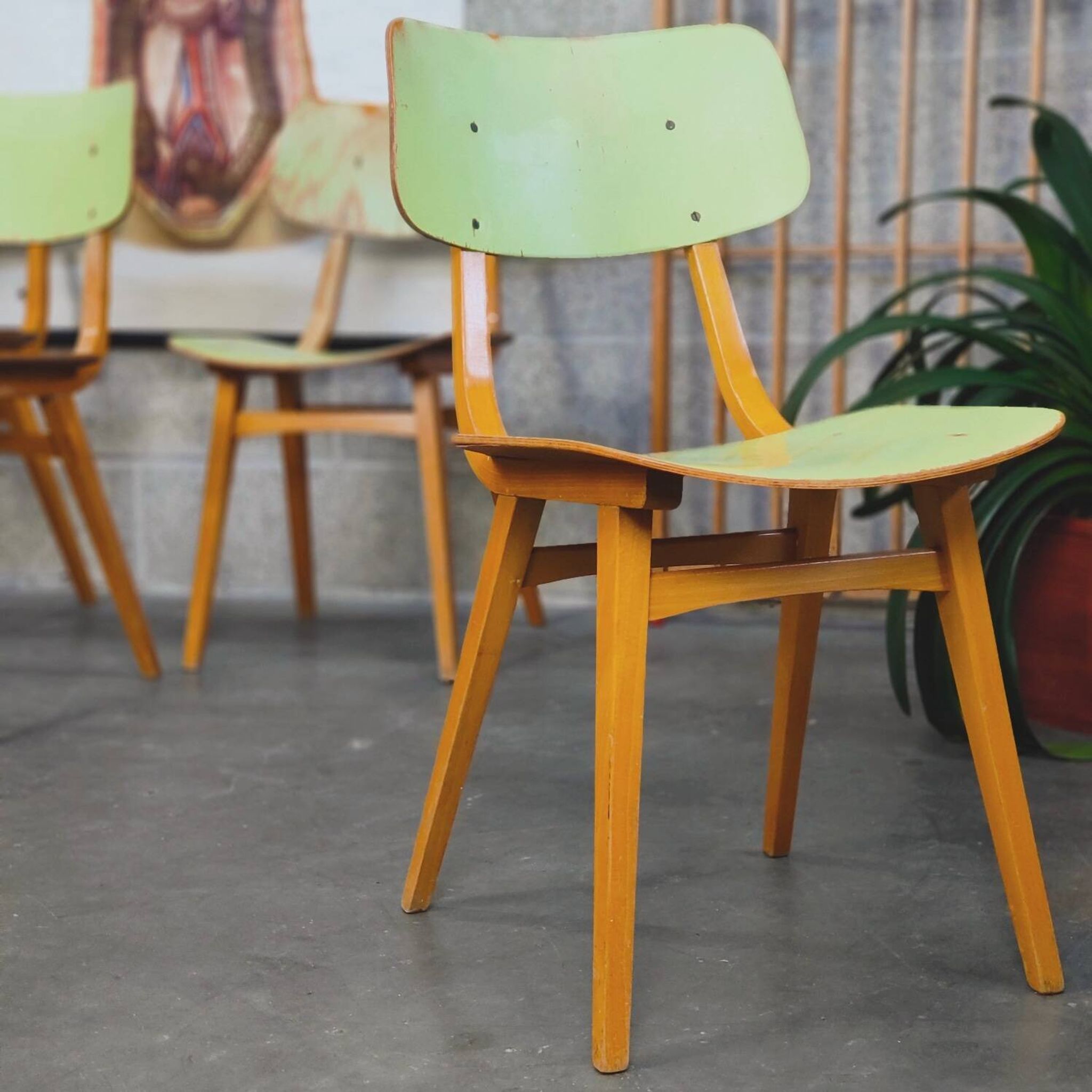 Set of 4 green wooden chairs Tatra Nabytok 1960