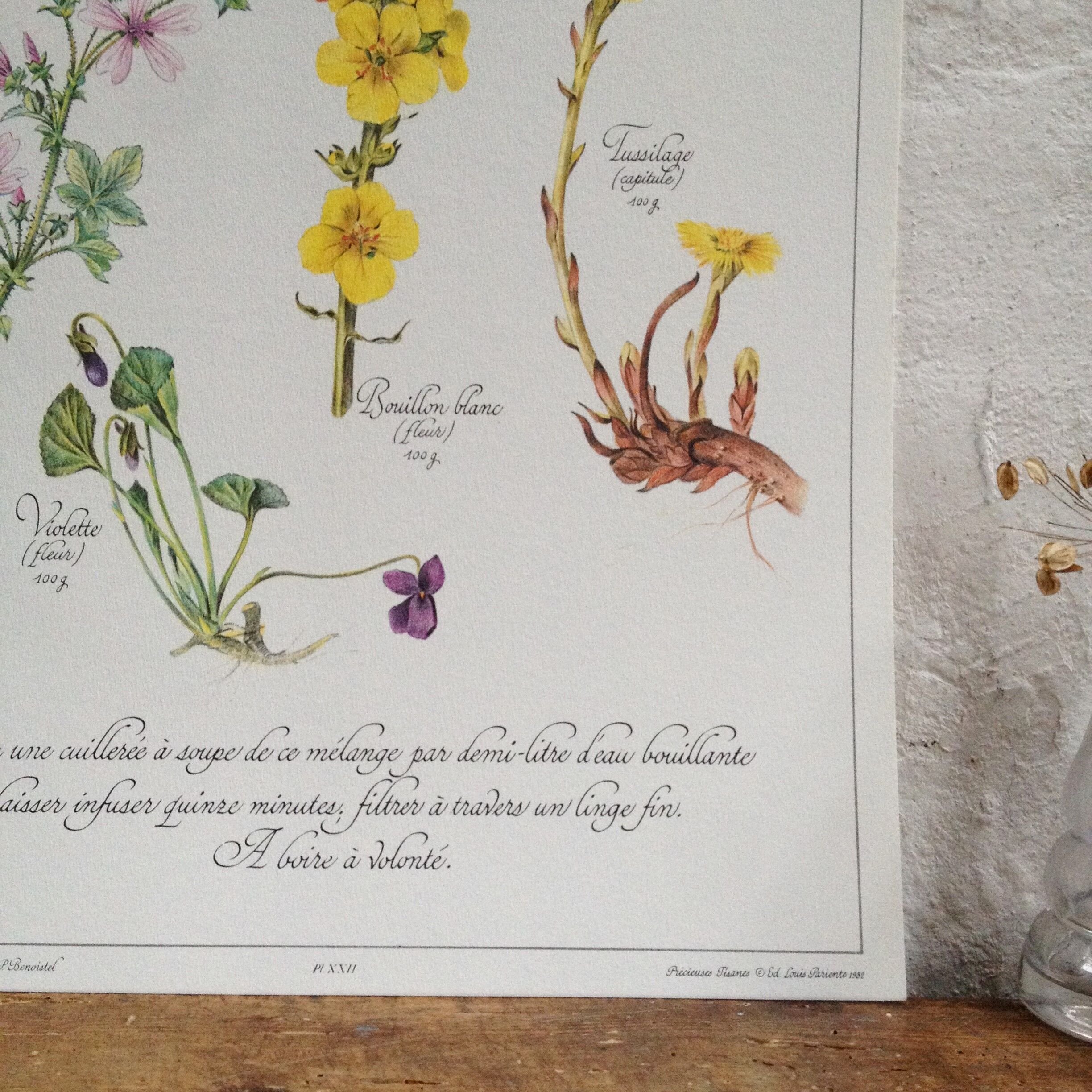 Botanical plate tisane