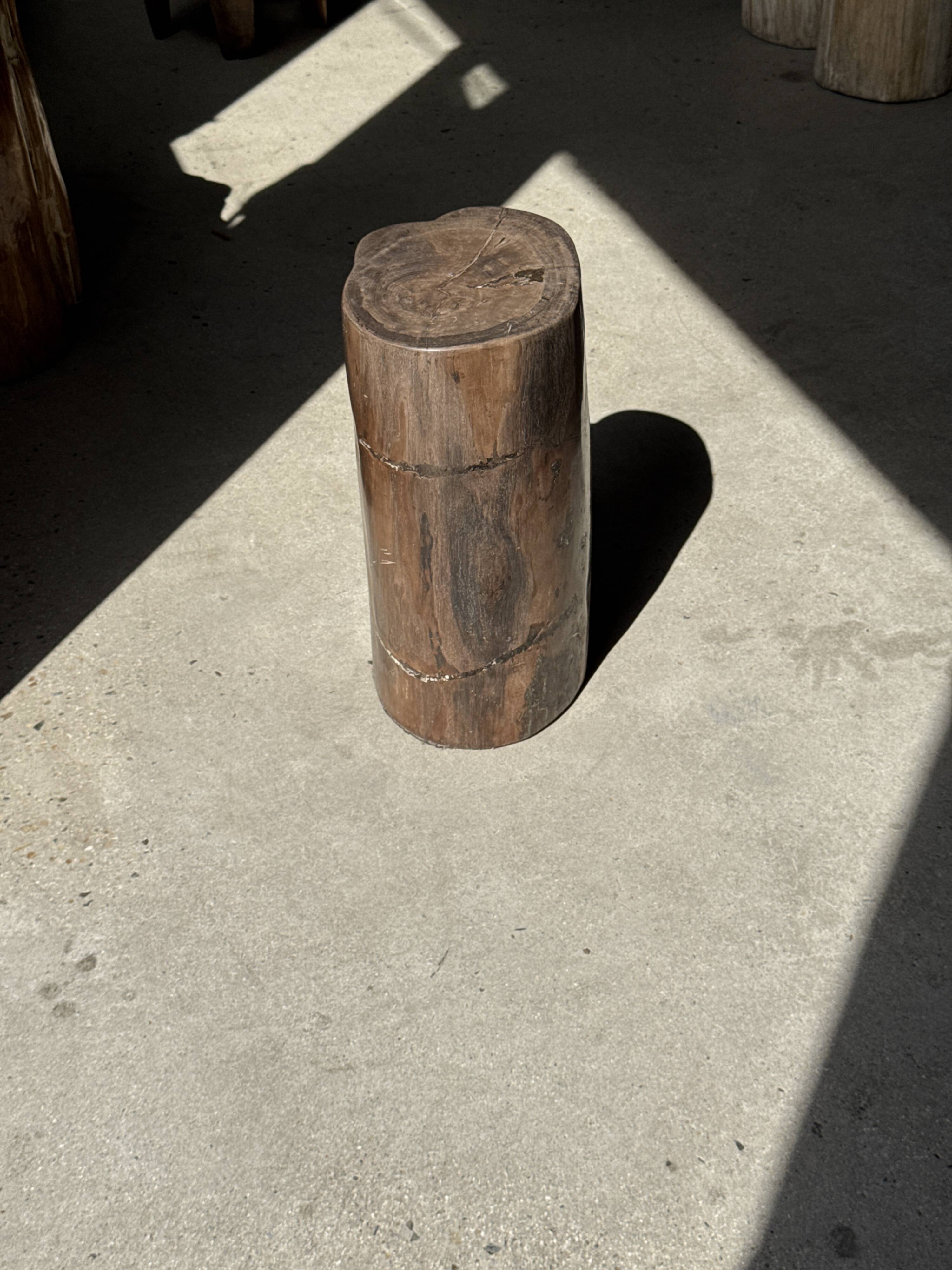 Table d'appoint en bois pétrifié brune H46 D29 - 3338