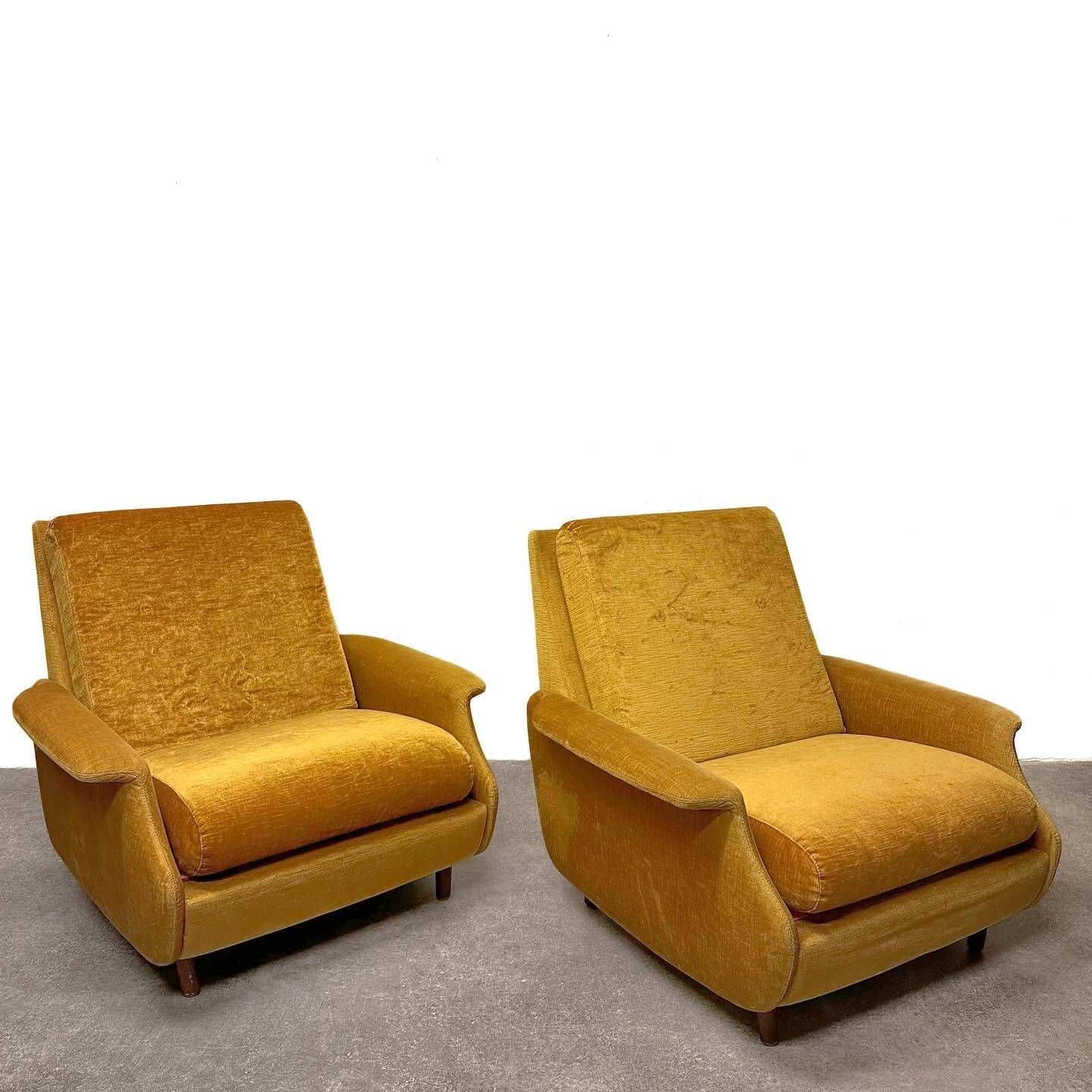 Pair of “Concordia” armchairs by Zol, France, 1960