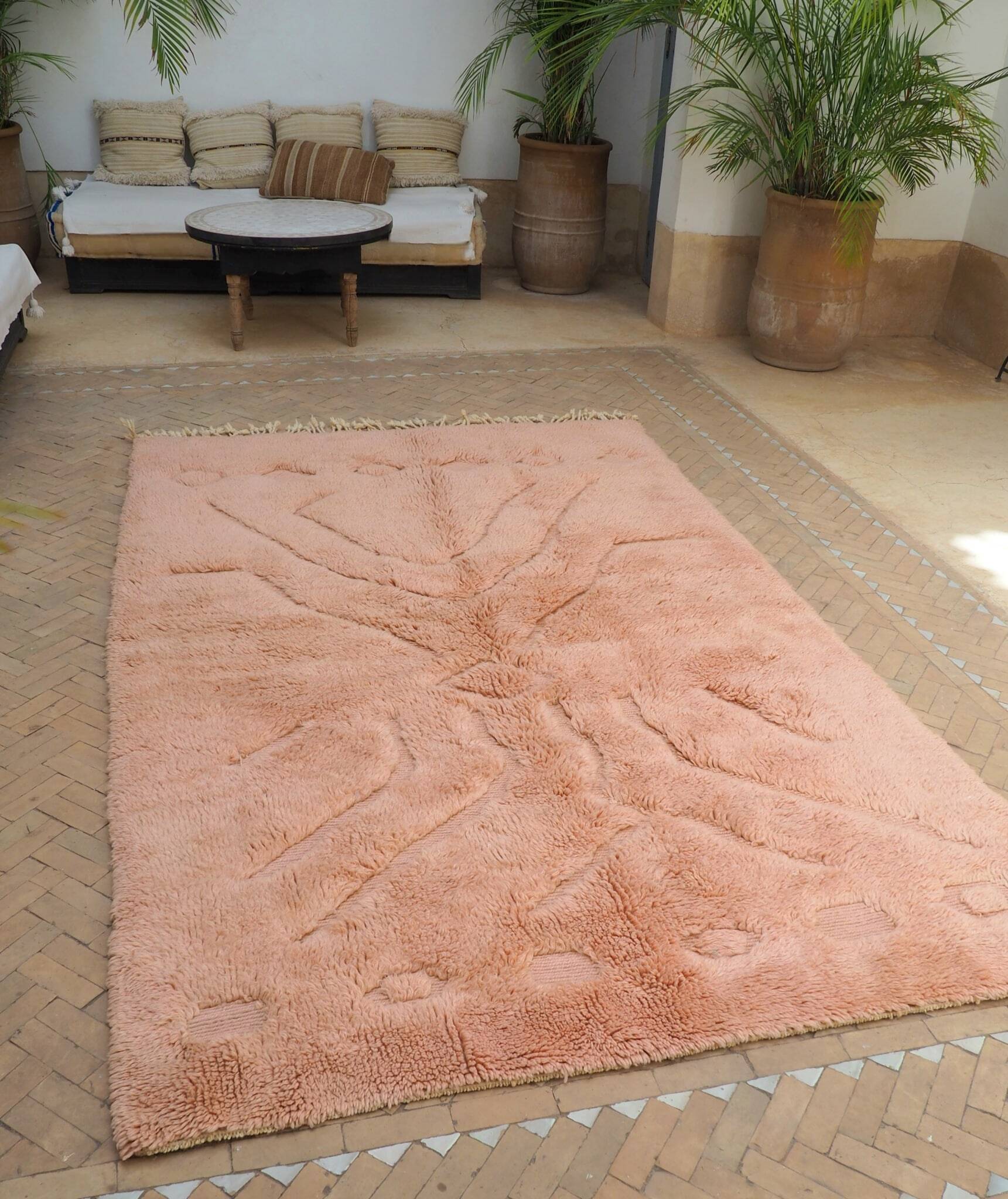 Tapis Mrirt 255x160cm