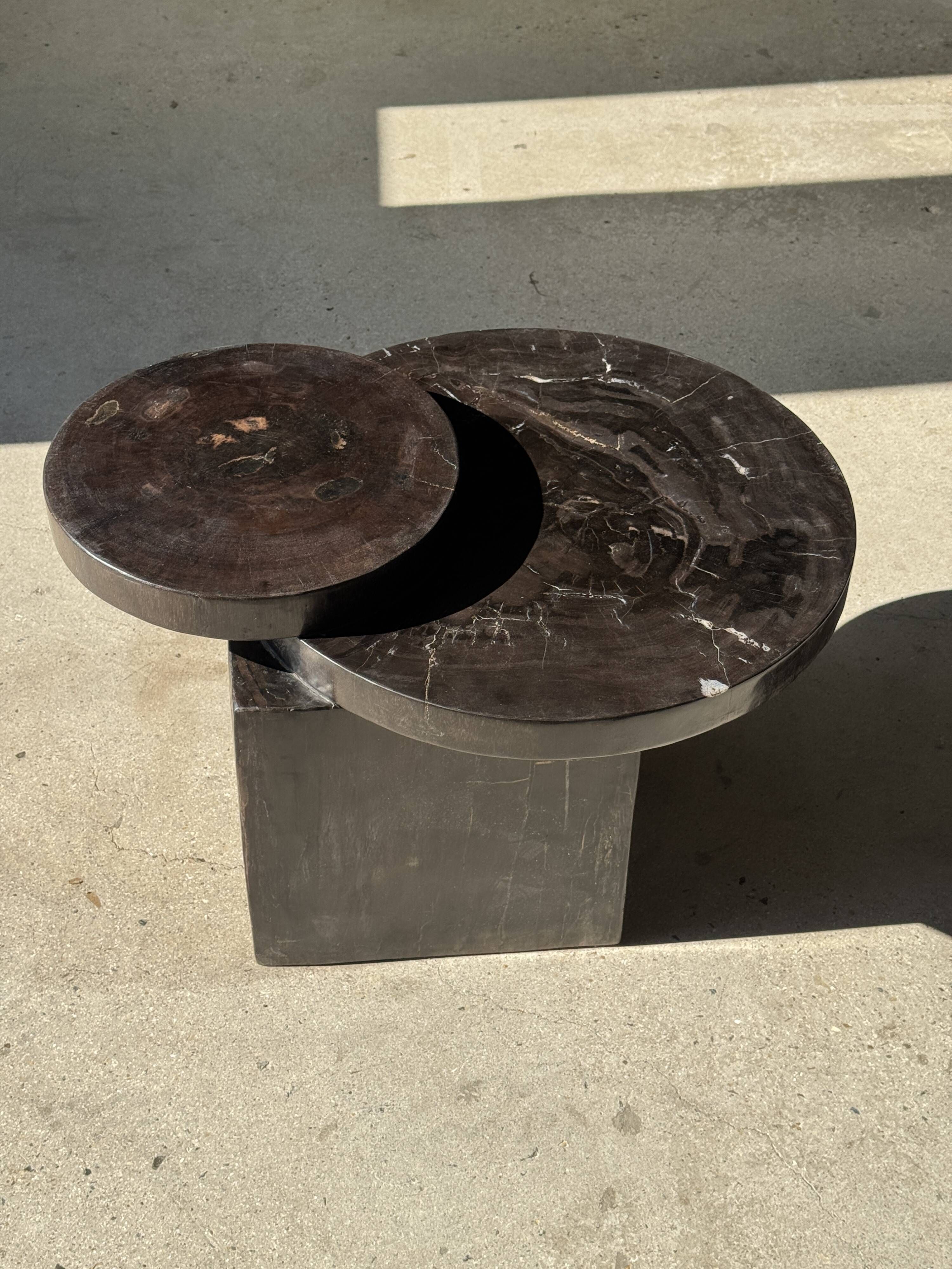 Brown petrified wood coffee table from Indonesia with a double circular top.