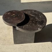Brown petrified wood coffee table from Indonesia with a double circular top.