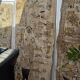 Panneau décoratif dessins sur écorce