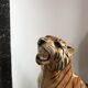 Tiger in earthenware