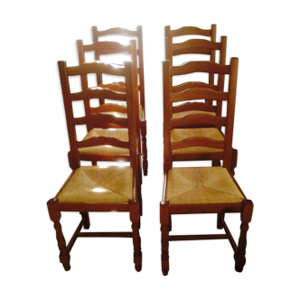Set of 6 oak chairs