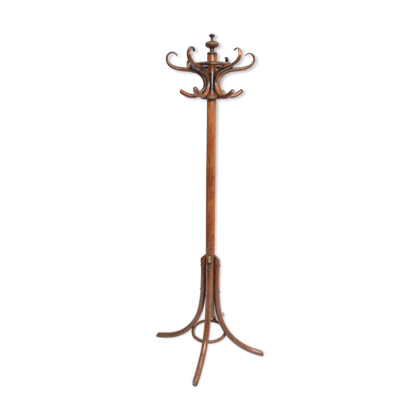 Coat rack parrot curved wood 1900
