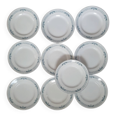 10 Antin Earth of Iron plates