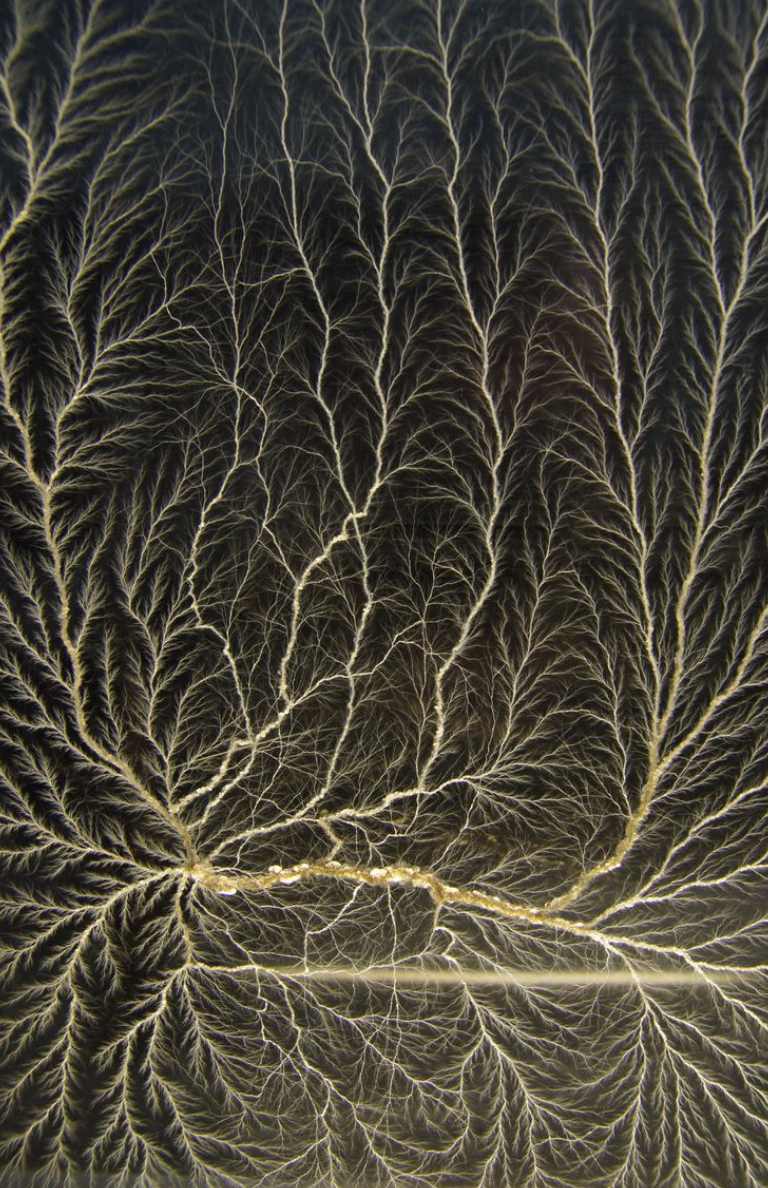 Maison Jansen office lamp 1970