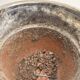 Vintage Red Black Metallic Terracotta Flower Pot