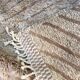 Tapis Mrirt d'exception 207 x 145 cm