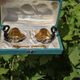Hand-painted Porcelain Black Swan Salt Cellars Set in original box