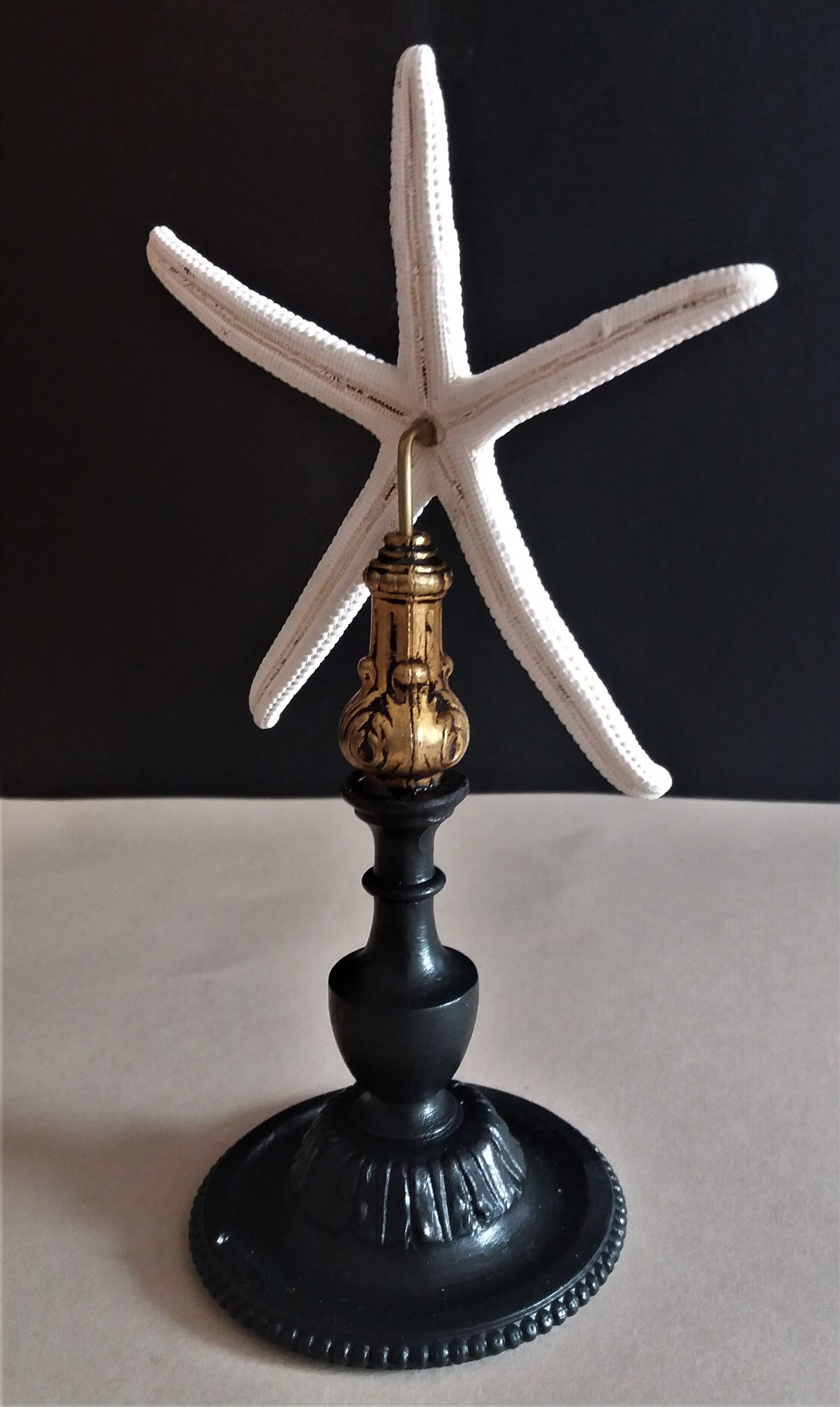 Sea star linckia laevigata