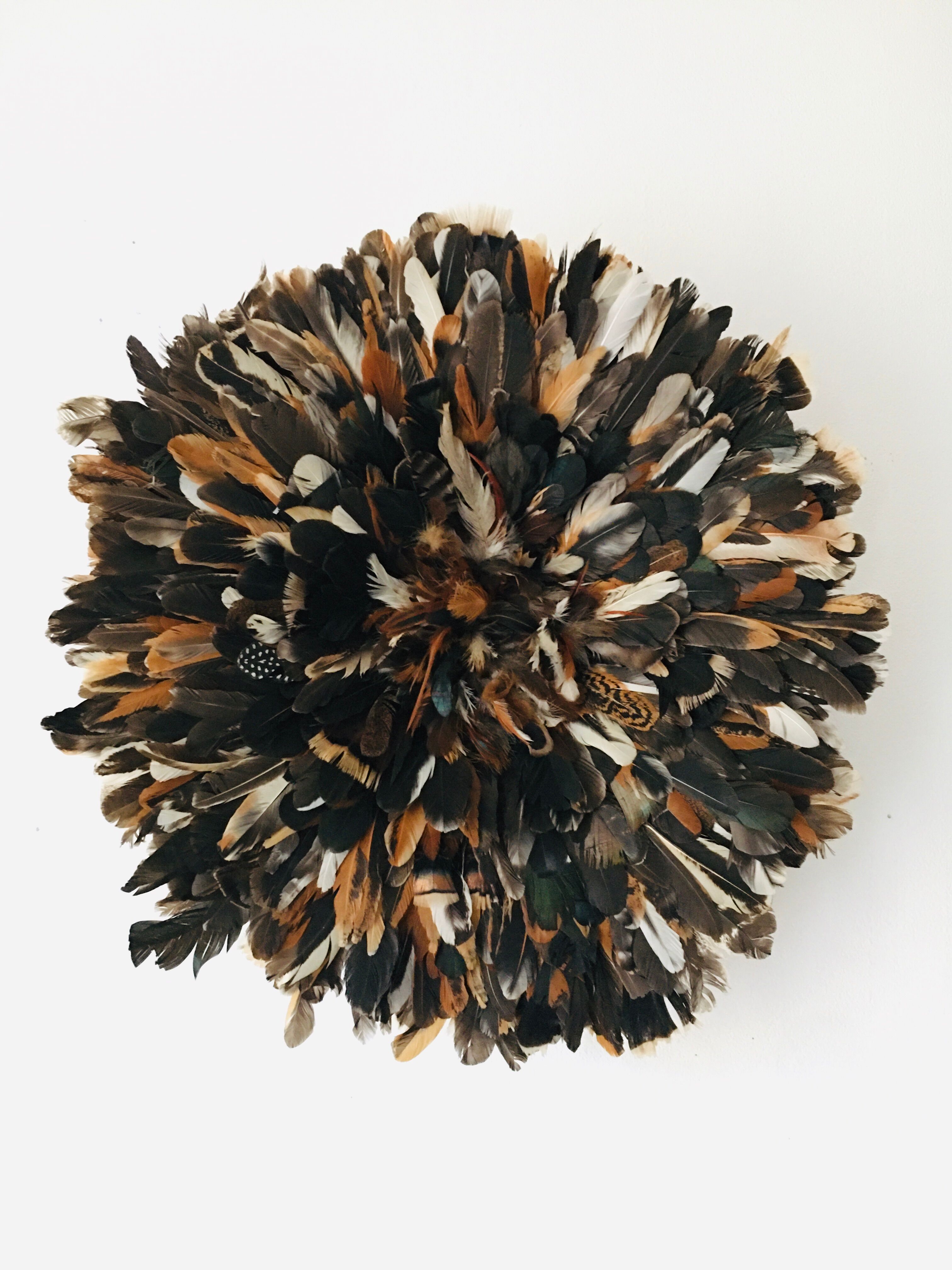 Speckled black jujuhat 50 cm